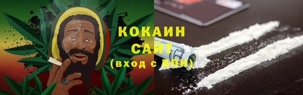 сатива Нягань