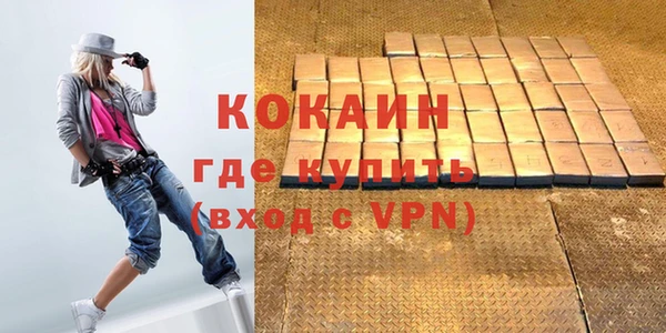 гашик Нефтекумск
