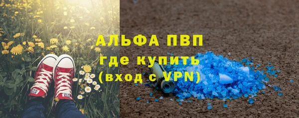 сатива Нягань