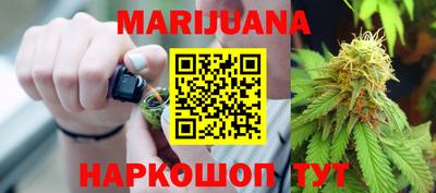 прущие грибы Абакан